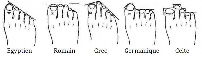 Types de pieds féminins : égyptien, grec, romain, germanique, celte