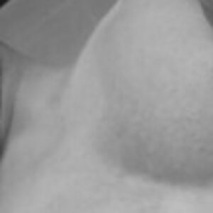 Photo de profil de Thom85000