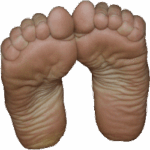 Photo de profil de David