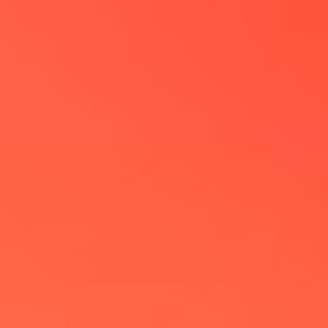 Photo de profil de ilovefootfeet2019