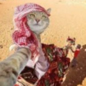Photo de profil de adil