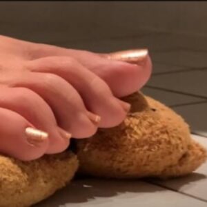 Photo de profil de FootSniffer57