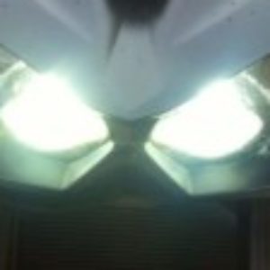 Photo de profil de Fafafab