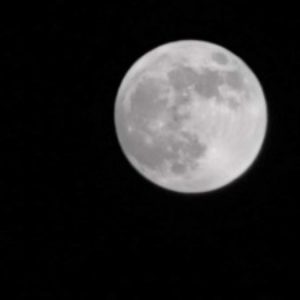 Photo de profil de Onyx