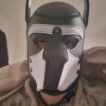 Photo de profil de Shiverlambda