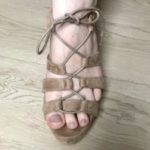 Photo de profil de Pieds-larges-squelettiques