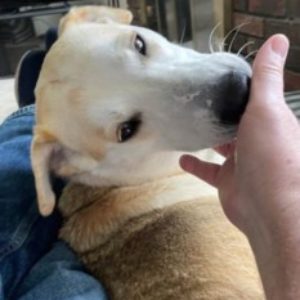 Photo de profil de Walsni