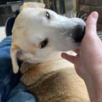 Photo de profil de Walsni