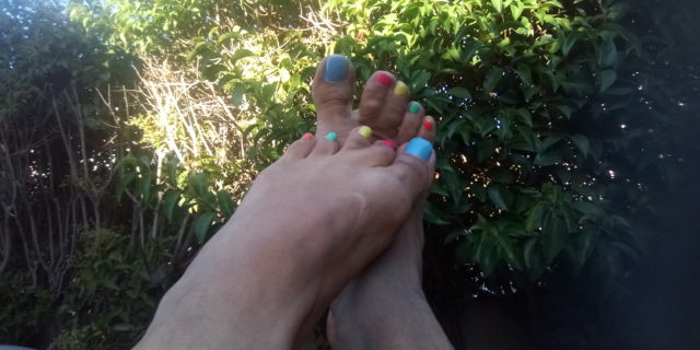 P_2multicolor