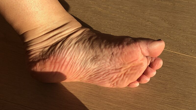 IMG_4944xx