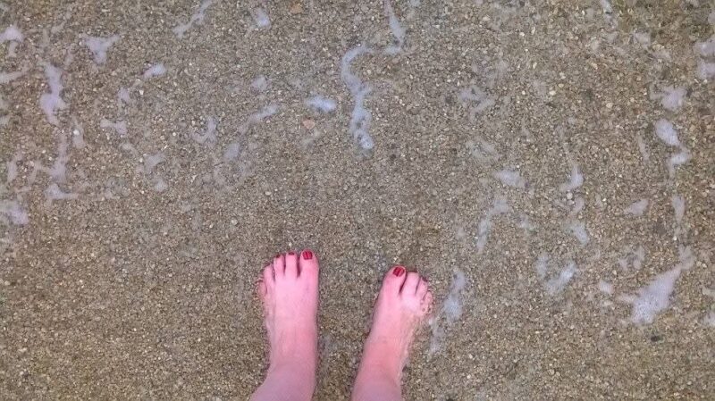 FB_IMG_1772730269586