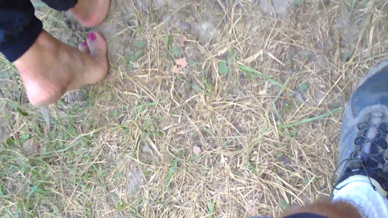 vlcsnap-2021-06-27-19h17m32s507