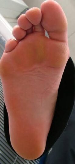 Viens sentir et lécher !