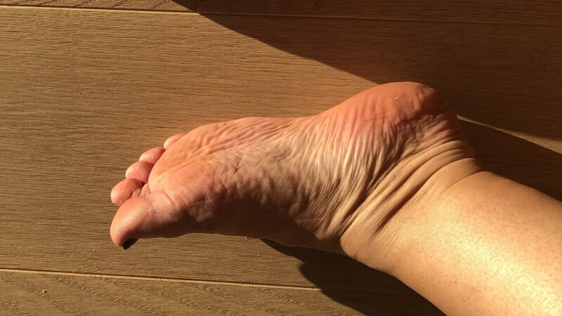 IMG_4946xxx