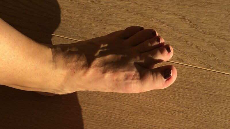 IMG_4941xxx