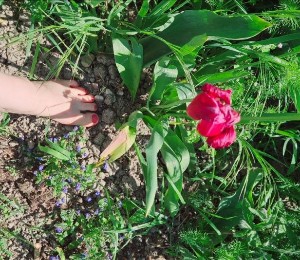 Screenshot_20250706_222350_Gallery