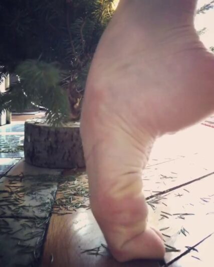 vlcsnap-2023-12-08-21h44m09s464