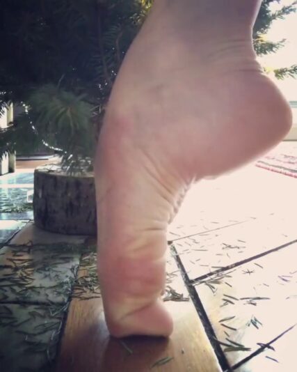 vlcsnap-2023-12-08-21h44m19s408