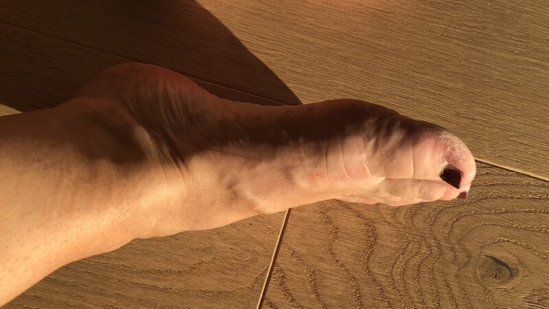 IMG_4944xxx