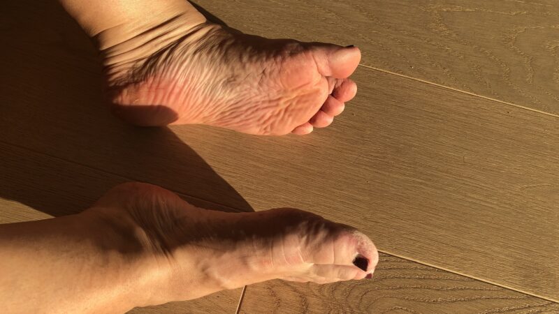 IMG_4944x