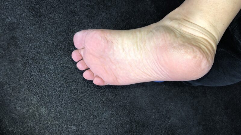 IMG_6842x