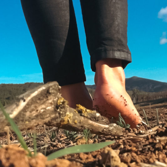 6C6BF7C1-00CB-4CC9-BCE4-14BFEA5AB0F7