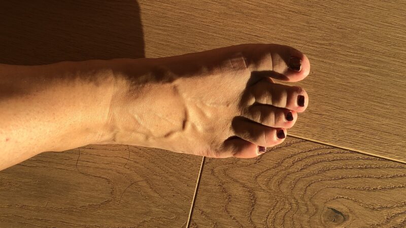IMG_4941xx