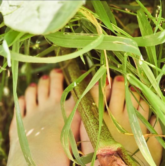 Screenshot_20250706_222305_Gallery