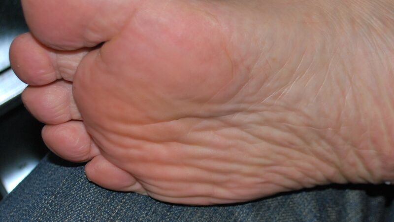 DSC_0254xx