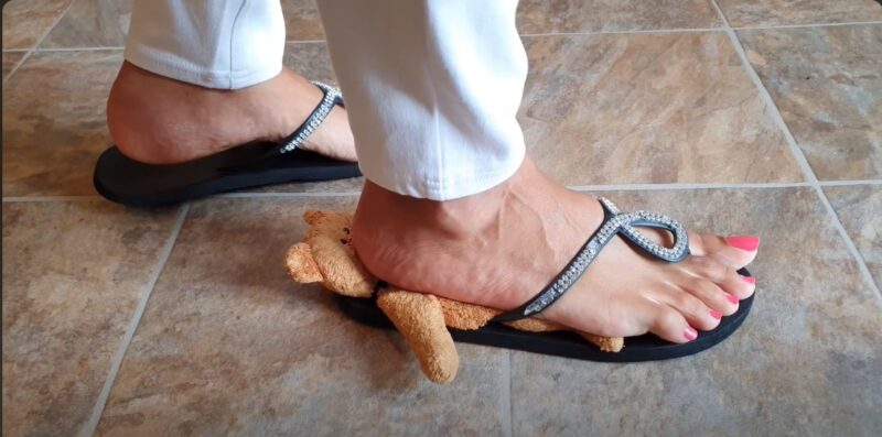 Il a vraiment de la chance cet ourson ! J'aimerais bien être à sa place !