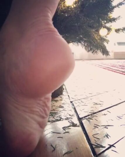 vlcsnap-2023-12-08-21h44m30s177