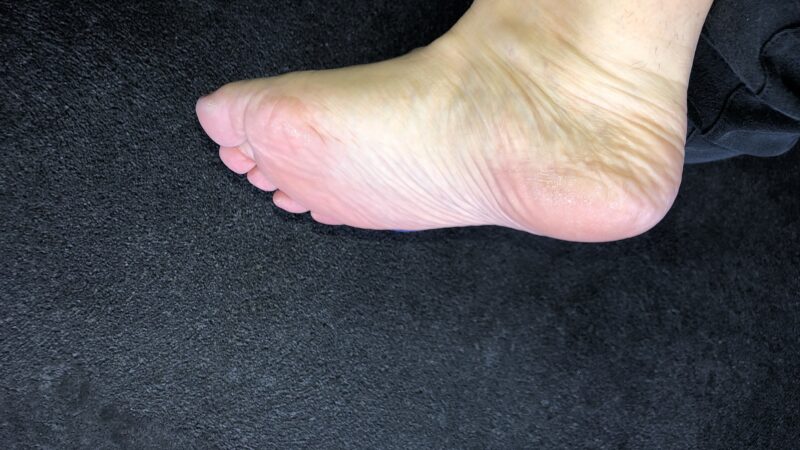 IMG_6839x