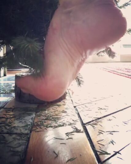 vlcsnap-2023-12-08-21h44m24s494