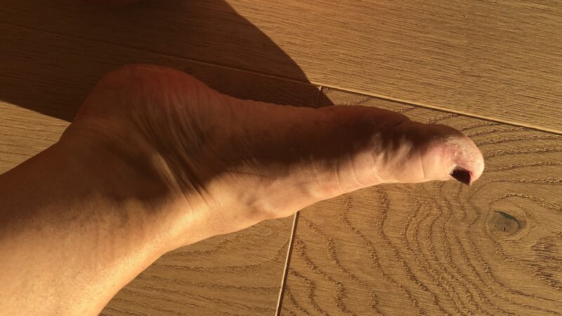 IMG_4942xx