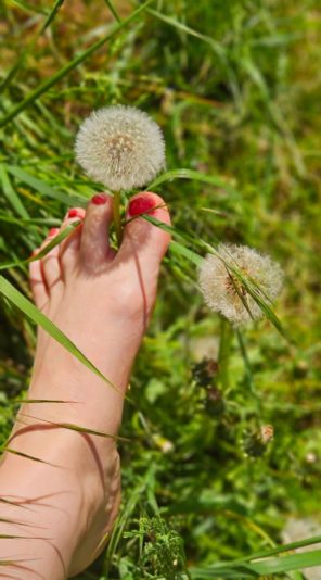 Screenshot_20250706_222232_Gallery