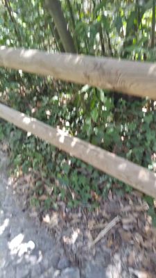 VID_20220918_promenade