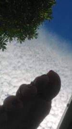 20261006_160106